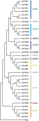 The UDP-Glycosyltransferase Family in Drosophila melanogaster: Nomenclature Update, Gene Expression and Phylogenetic Analysis